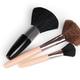 Three Cosmetic Brushes Three Cosmetic Brushes - PhotoDune Item for Sale