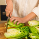 Chopped cabbage Chopped cabbage - PhotoDune Item for Sale