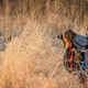 Nature photographer taking photos of tall grass at sunset Nature photographer taking photos of tall grass at sunset - PhotoDune Item for Sale
