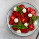 Caprese salad with tomato, basil and mozzarella. Italian salad. Italian food. Caprese salad with tomato, basil and mozzarella. Italian salad. Italian food. - PhotoDune Item for Sale