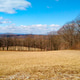 Pasture land in Winter Pasture land in Winter - PhotoDune Item for Sale