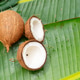 Summer tropical fruits of coconut over green leaf Summer tropical fruits of coconut over green leaf - PhotoDune Item for Sale