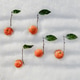 tangerines as notes on a staff tangerines as notes on a staff - PhotoDune Item for Sale