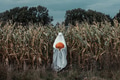 Ghost in glasses with pumpkin on corn field in autumn Ghost in glasses with pumpkin on corn field in autumn - PhotoDune Item for Sale