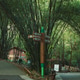 Chengdu Research Base Of Giant Panda Breeding. Chengdu Research Base Of Giant Panda Breeding. - PhotoDune Item for Sale
