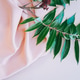 Green branch on pink silk fabric Green branch on pink silk fabric - PhotoDune Item for Sale