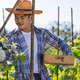 A young farmer carefully harvests fresh cucumbers in a sunny field A young farmer carefully harvests fresh cucumbers in a sunny field - PhotoDune Item for Sale