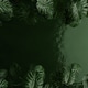 Jungle background, Top view of tropical leaves on green water backdrop. 3d render Jungle background, Top view of tropical leaves on green water backdrop. 3d render - PhotoDune Item for Sale