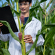 Asian agricultural researcher man looking at clipboard holding green crop tree while walking in farm Asian agricultural researcher man looking at clipboard holding green crop tree while walking in farm - PhotoDune Item for Sale