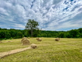 Countryside landscape view with rolled hay, trees and beautiful sky suitable for natural background Countryside landscape view with rolled hay, trees and beautiful sky suitable for natural background - PhotoDune Item for Sale