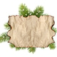 Old parchment paper with copy space on Christmas tree branch background Old parchment paper with copy space on Christmas tree branch background - PhotoDune Item for Sale