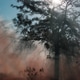 Smokey Rays Wild Fire Smokey Rays Wild Fire - PhotoDune Item for Sale