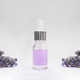A glass dropper bottle between lavender branches on the grey background. A glass dropper bottle between lavender branches on the grey background. - PhotoDune Item for Sale
