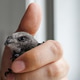 Macro photo of a swift bird resting peacefully in a male hand with blurred indoor background Macro photo of a swift bird resting peacefully in a male hand with blurred indoor background - PhotoDune Item for Sale