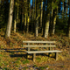 Peaceful landscape featuring an empty wooden bench Peaceful landscape featuring an empty wooden bench - PhotoDune Item for Sale