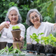 Two senior women enjoy gardening together using eco-friendly pots. Two senior women enjoy gardening together using eco-friendly pots. - PhotoDune Item for Sale