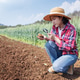 Female Farmer Diagnosing Soil Quality in Wheat Field Female Farmer Diagnosing Soil Quality in Wheat Field - PhotoDune Item for Sale