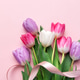 Tulip bouquet on pink background with ribbon celebrating spring Tulip bouquet on pink background with ribbon celebrating spring - PhotoDune Item for Sale