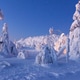 Magic winter Magic winter - PhotoDune Item for Sale