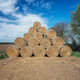 A large pile of bales of hay A large pile of bales of hay - PhotoDune Item for Sale