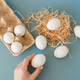 Blue Background with Easter eggs in hay Blue Background with Easter eggs in hay - PhotoDune Item for Sale