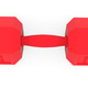 Sturdy vibrant red hexagonal 10kg dumbbell with ergonomic knurled grip. Sturdy vibrant red hexagonal 10kg dumbbell with ergonomic knurled grip. - PhotoDune Item for Sale