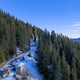 Snowy Slopeside within a Dense Evergreen Forest Snowy Slopeside within a Dense Evergreen Forest - PhotoDune Item for Sale