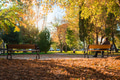Person sitting on a bench in an autumn park Person sitting on a bench in an autumn park - PhotoDune Item for Sale