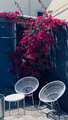 Bougainvillea spills over a grey wooden fence over two white Acapulco lawn chairs. Bougainvillea spills over a grey wooden fence over two white Acapulco lawn chairs. - PhotoDune Item for Sale