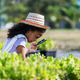 Child Learning Agriculture by Observing Plants in Organic Garden Child Learning Agriculture by Observing Plants in Organic Garden - PhotoDune Item for Sale