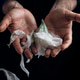 man's hand holding wilted flower, concept of melancholy sadness fatigue despair or depression man's hand holding wilted flower, concept of melancholy sadness fatigue despair or depression - PhotoDune Item for Sale