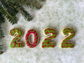 2022 Baked Christmas cookies on green and white textured background with natural pine needles 2022 Baked Christmas cookies on green and white textured background with natural pine needles - PhotoDune Item for Sale