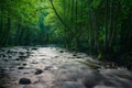 Mystical atmosphere when the first light of day illuminates the river and the surrounding forests Mystical atmosphere when the first light of day illuminates the river and the surrounding forests - PhotoDune Item for Sale