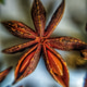 STAR ANISE STAR ANISE - PhotoDune Item for Sale