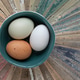 Three Eggs in a Bowl Three Eggs in a Bowl - PhotoDune Item for Sale