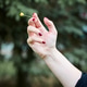 Delicate hand holding tiny yellow flower outdoors Delicate hand holding tiny yellow flower outdoors - PhotoDune Item for Sale