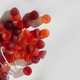 Red and orange gummy vitamins spill from a transparent bottle onto a white surface Red and orange gummy vitamins spill from a transparent bottle onto a white surface - PhotoDune Item for Sale