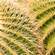 Spiky Spheres Spiky Spheres - PhotoDune Item for Sale