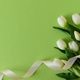 White Tulips with Ribbon on Green Spring Background White Tulips with Ribbon on Green Spring Background - PhotoDune Item for Sale