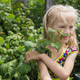 Portrait of a girl with blond long hair in bright dress stands near a raspberry bush Portrait of a girl with blond long hair in bright dress stands near a raspberry bush - PhotoDune Item for Sale