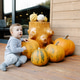 Toddler sitting porch among autumn pumpkins at cozy cabin Toddler sitting porch among autumn pumpkins at cozy cabin - PhotoDune Item for Sale