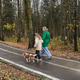 Walking mother with daughter, dog on park path. Family pet activity supports bonding, care Walking mother with daughter, dog on park path. Family pet activity supports bonding, care - PhotoDune Item for Sale