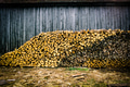 A Wood Pile of Different Shades A Wood Pile of Different Shades - PhotoDune Item for Sale