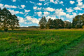 Green meadows in summer under a blue sky with clouds Green meadows in summer under a blue sky with clouds - PhotoDune Item for Sale