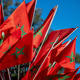 Moroccan Flags View Moroccan Flags View - PhotoDune Item for Sale