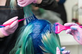 Hairdressers Applying Blue Paint to Emerald Hair Color During Process of Dyeing Hair in Unique Color Hairdressers Applying Blue Paint to Emerald Hair Color During Process of Dyeing Hair in Unique Color - PhotoDune Item for Sale