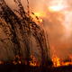 Bush Fire Sunset Bush Fire Sunset - PhotoDune Item for Sale
