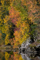 Colors of Autumn Colors of Autumn - PhotoDune Item for Sale