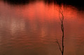 Sunset by the lake Sunset by the lake - PhotoDune Item for Sale