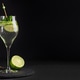 Elegant cocktail Martini Royale garnished with lime slices and fresh mint leaves on dark background Elegant cocktail Martini Royale garnished with lime slices and fresh mint leaves on dark background - PhotoDune Item for Sale